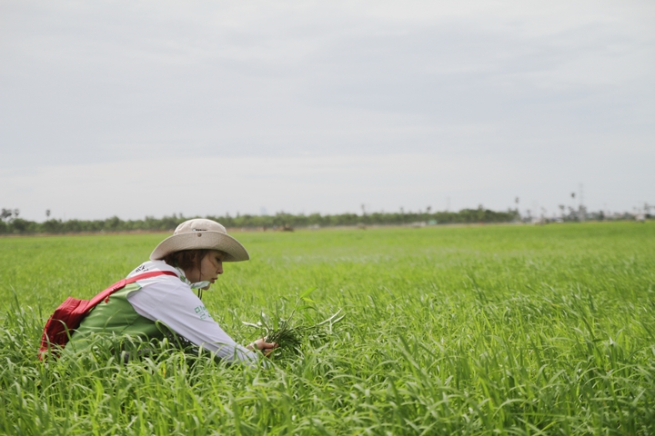 MBC Share the Happiness, Cambodian children whom actress Jo An met ②